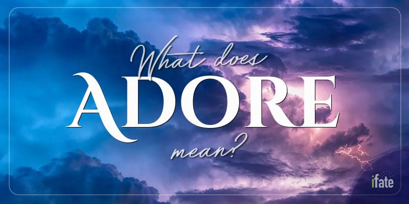 What Does Je T Adore Mean In English