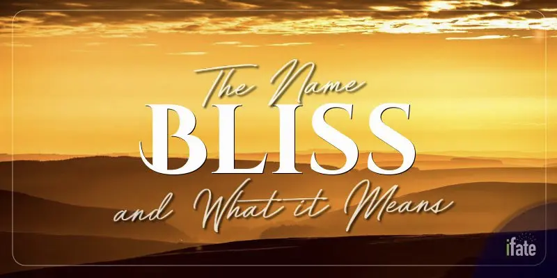 hindi-meaning-of-bliss-youtube