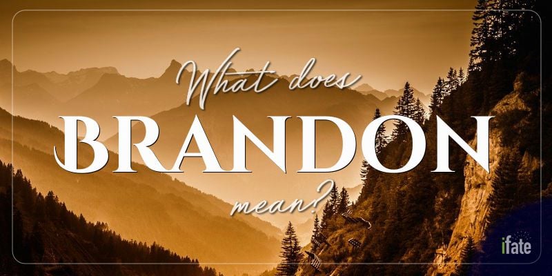 the-baby-name-brandon-what-it-means-and-why-numerologists-love-it