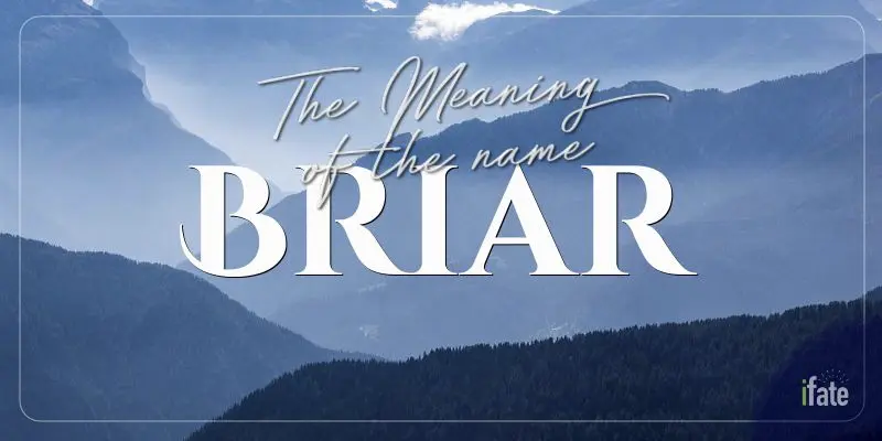 what-the-name-briar-means-and-what-numerologists-think-of-it