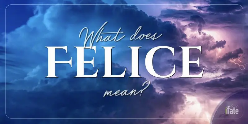 Sii Felice Meaning