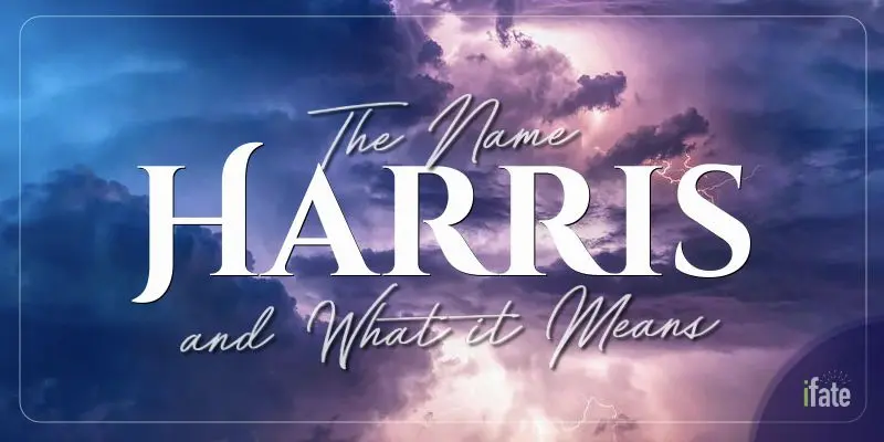 the-meaning-of-the-name-harris-and-why-numerologists-like-it