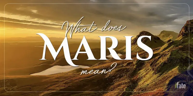 Marise Name Meaning, Origin, Numerology & Popularity - Drlogy