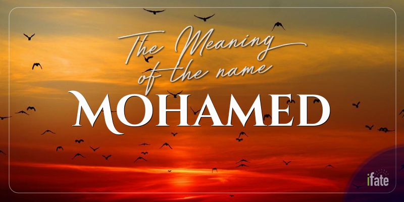 The Baby Name quot Mohamed quot : What it means and why numerologists love it