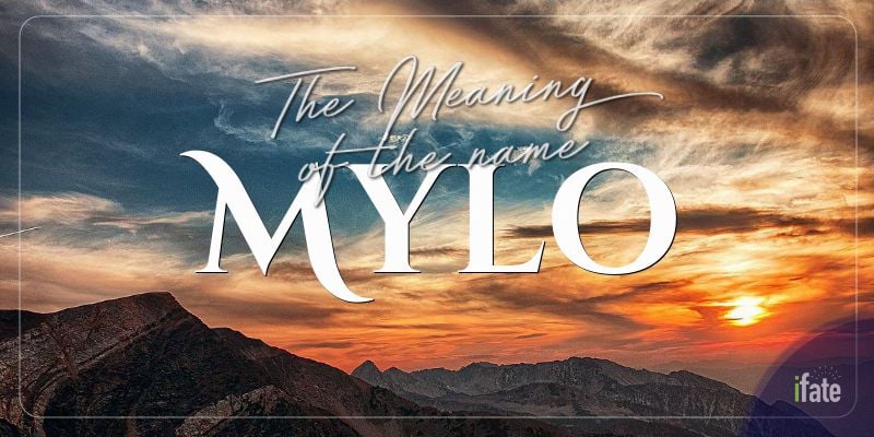 The Meaning Of The Name Mylo And What Numerologists Think Of It