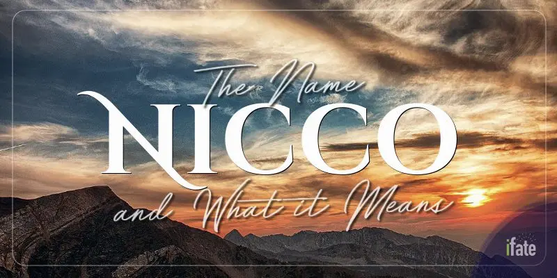 Nicco name deals