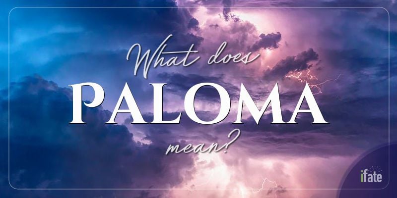 the-first-name-paloma-what-it-means-and-why-numerologists-like-it