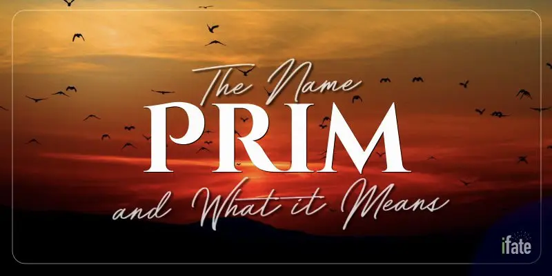 the-meaning-of-the-name-prim-and-why-numerologists-like-it