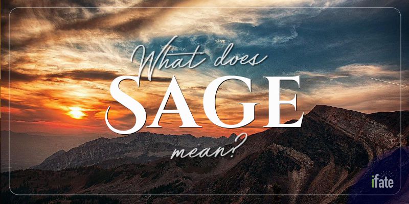 perler emulering Uganda What the Name "Sage" Means, and Why Numerologists Like It
