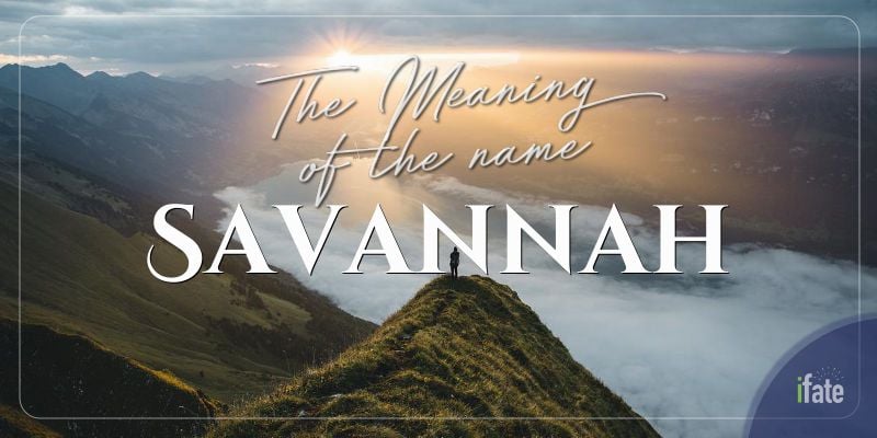 the-meaning-of-the-name-savannah-and-why-numerologists-like-it