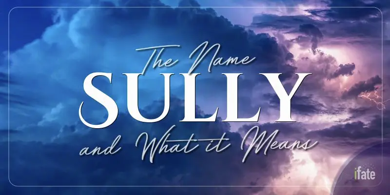 what-the-name-sully-means-and-what-numerologists-say-about-it