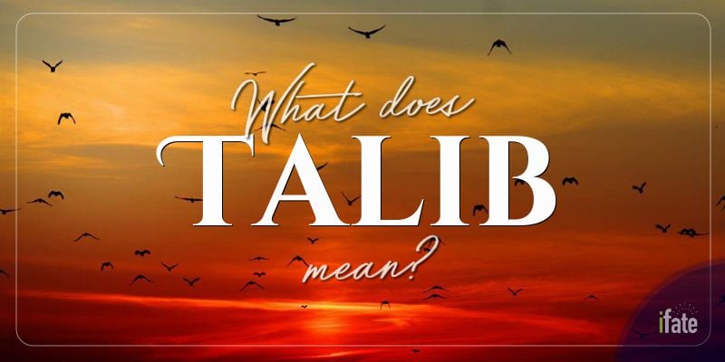 talib venice