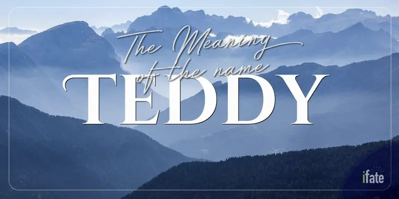 The First Name Teddy What It Means And Why Numerologists Love It