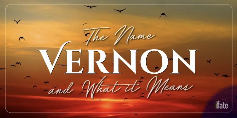 the-first-name-vernon-what-it-means-and-why-numerologists-love-it