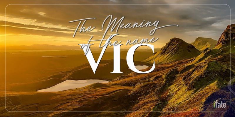 what-the-name-vic-means-and-what-numerologists-think-of-it