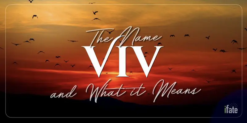 The Name Viv: What it means, and why numerologists like it
