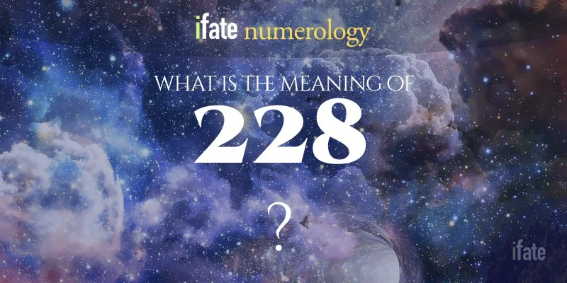 The Meaning of the Number 228