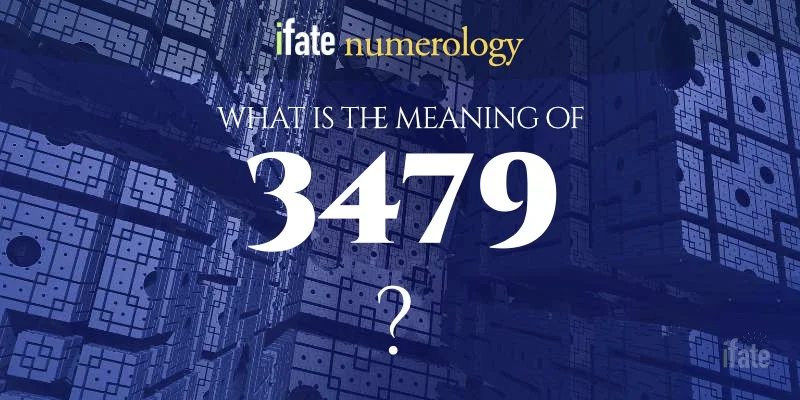 The Meaning of the Number 3479