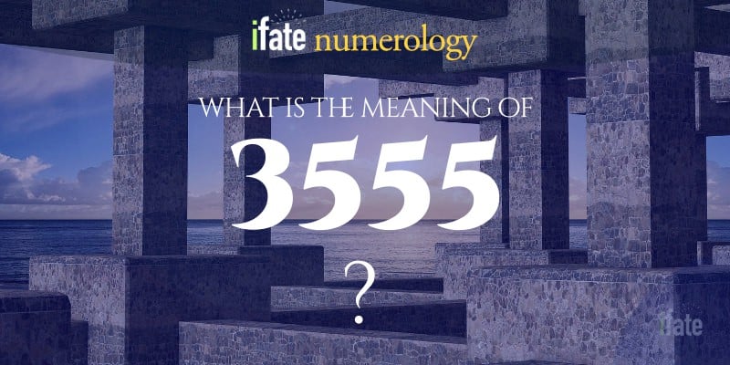 20 of 3555