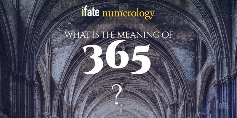 number-the-meaning-of-the-number-365