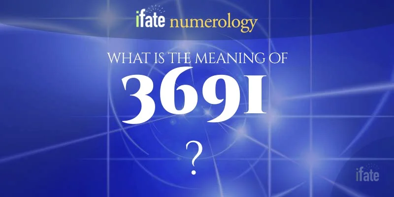 The Meaning of the Number 3691