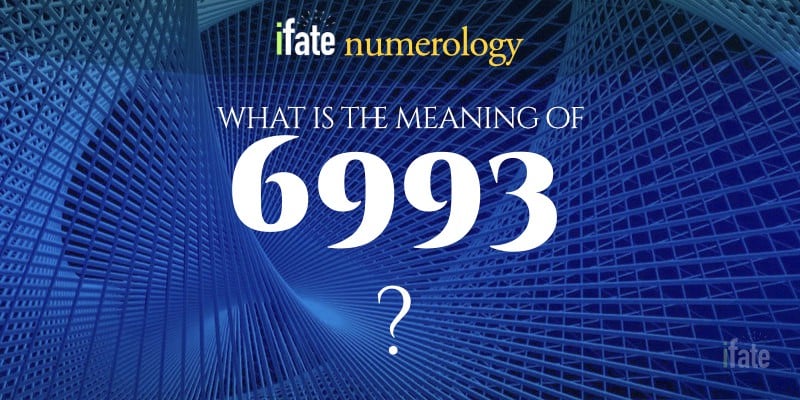 Number The Meaning of the Number 6993