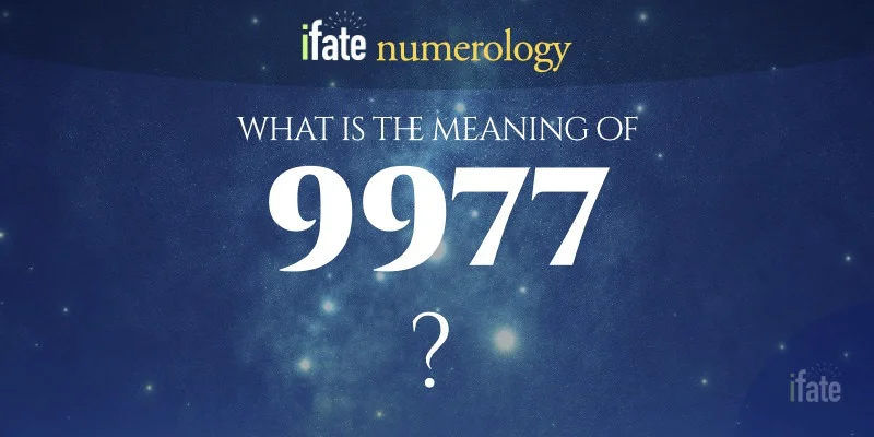 the-meaning-of-the-number-9977