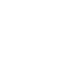 algiz protection rune